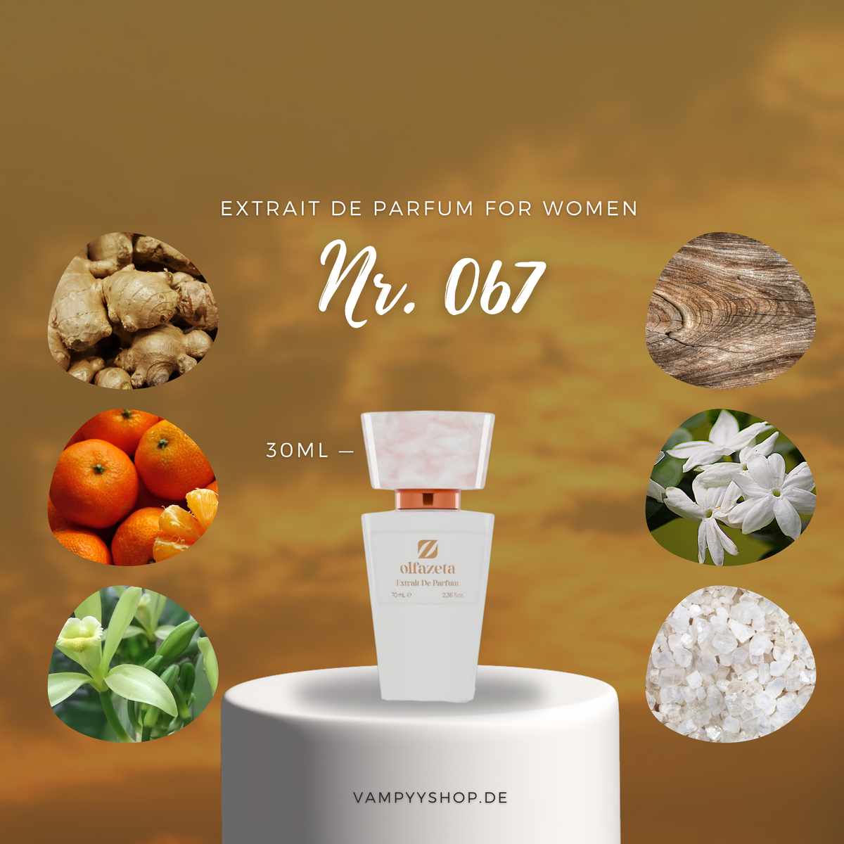 Nr. 067 - DAMENPARFÜM MIT 30% ESSENZ - PARFÜMEXTRAKT vampyy.shop