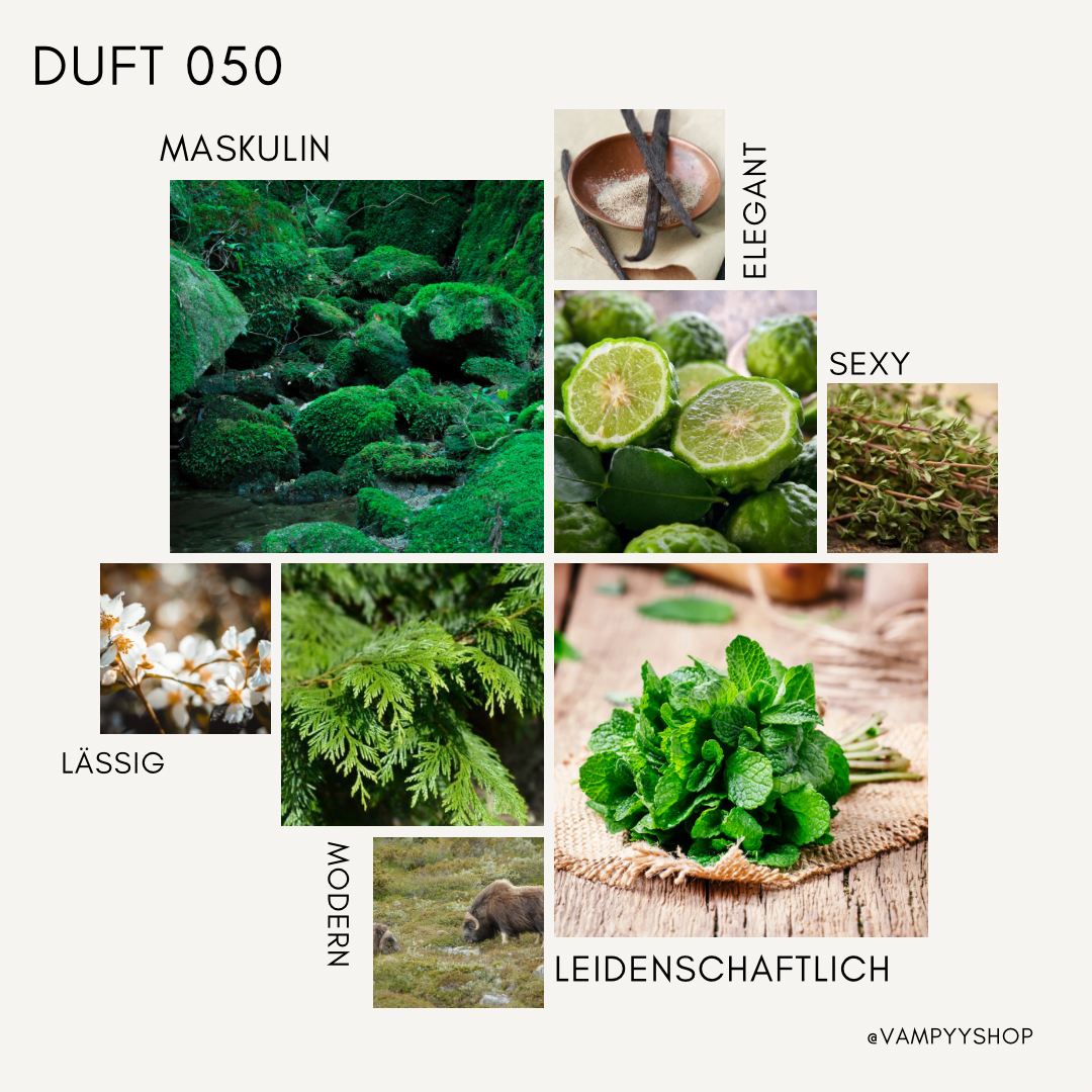 Duschgel mit Duft Nr. 050 vampyy.shop
