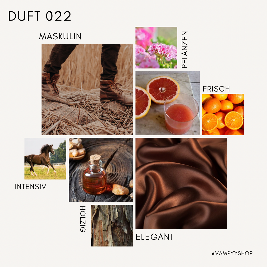 Duschgel mit Duft Nr. 022 vampyy.shop