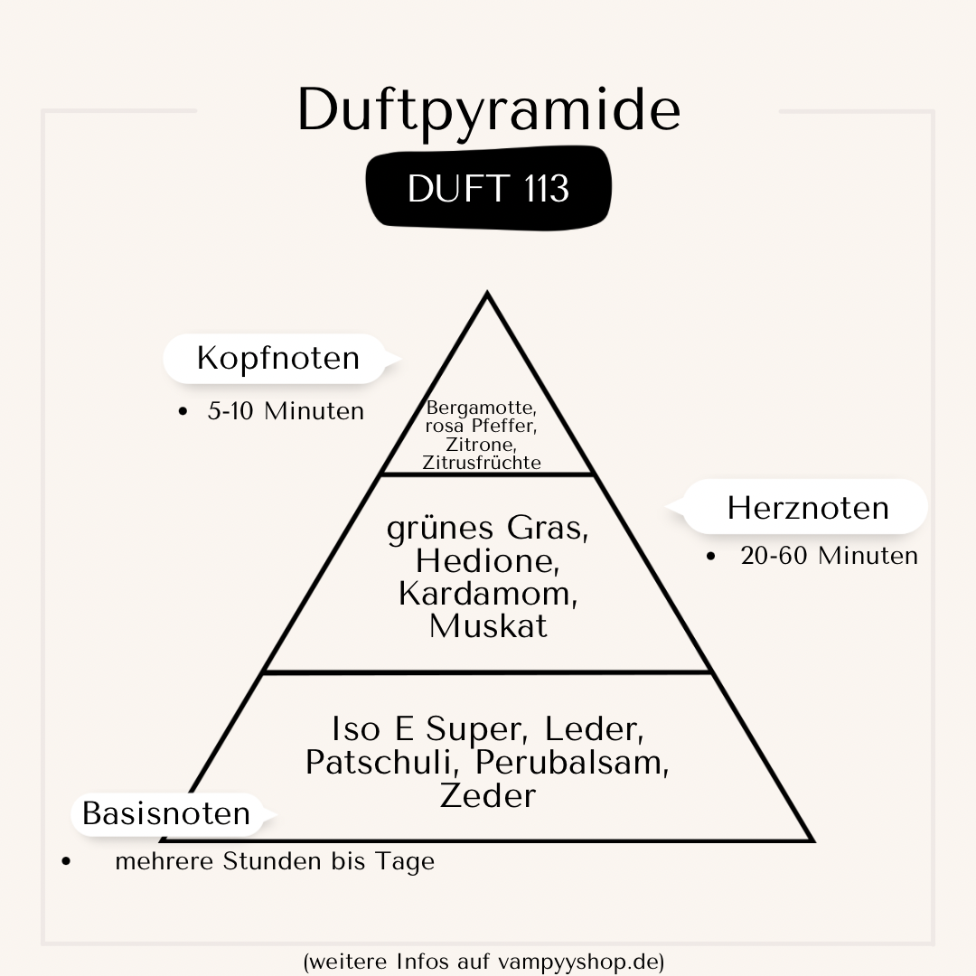 Nr. 113 - HERRENPARFÜM MIT 30% ESSENZ - PARFÜMEXTRAKT vampyy.shop