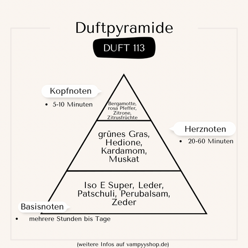 Nr. 113 - HERRENPARFÜM MIT 30% ESSENZ - PARFÜMEXTRAKT vampyy.shop