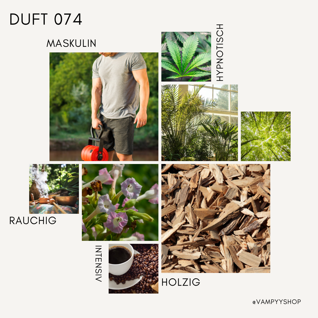 LUXURY Duschgel mit Duft Nr. 074 vampyy.shop